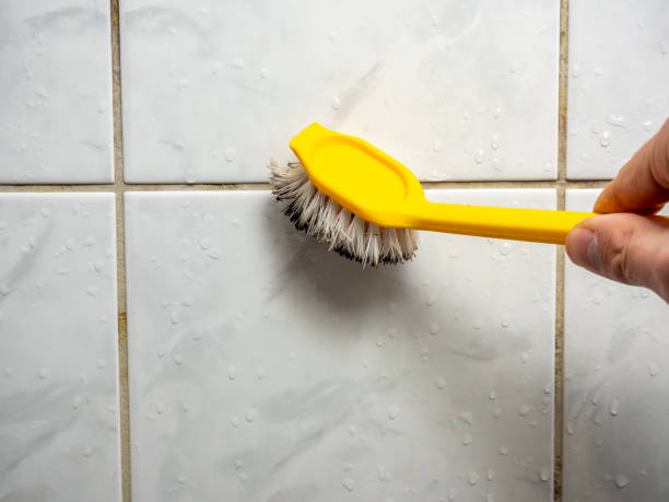 Mold Removal Process in Danvers, IL