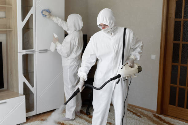 Best Professional Mold Removal  in Danvers, IL